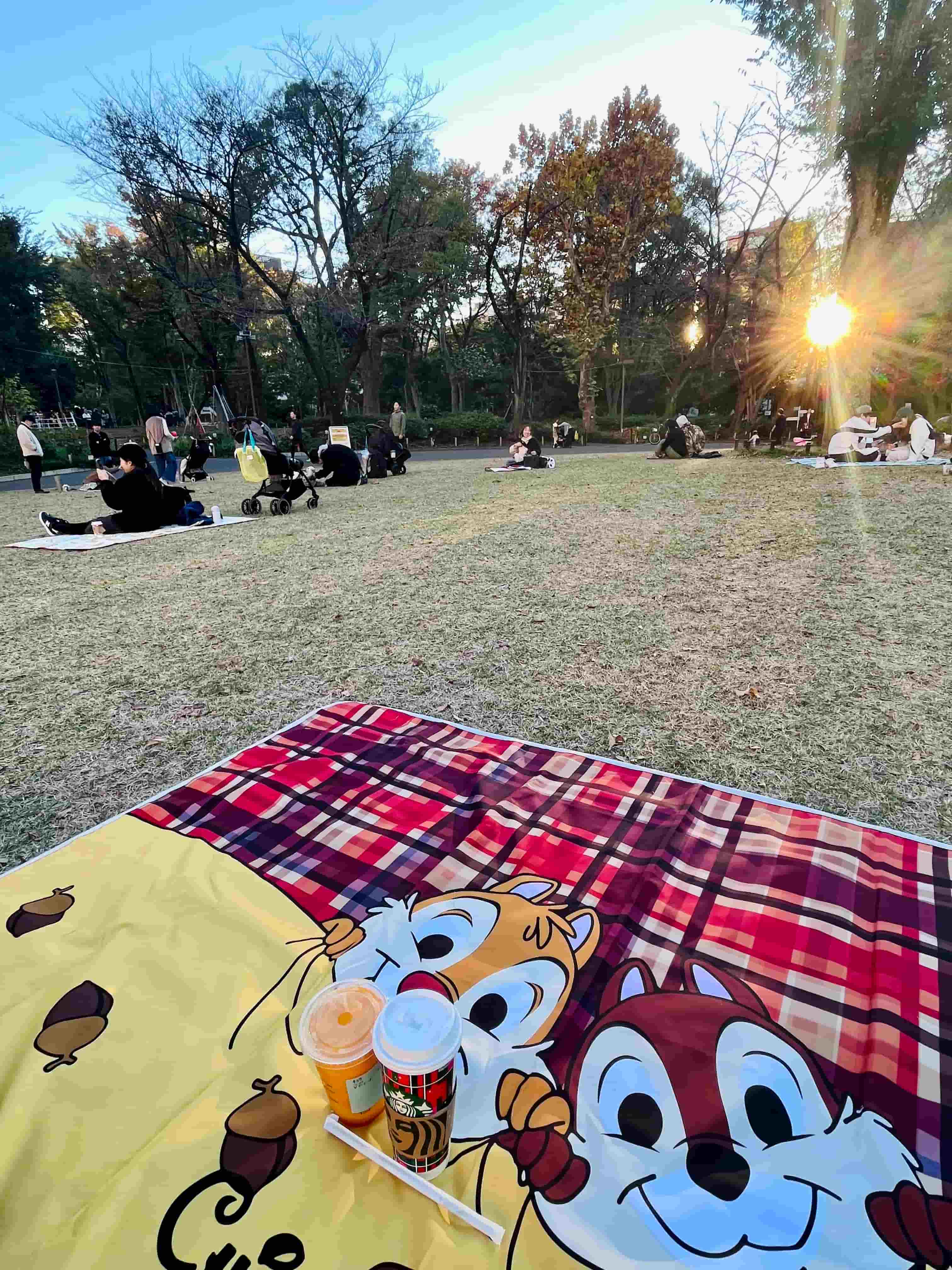 having a break in the lawn
